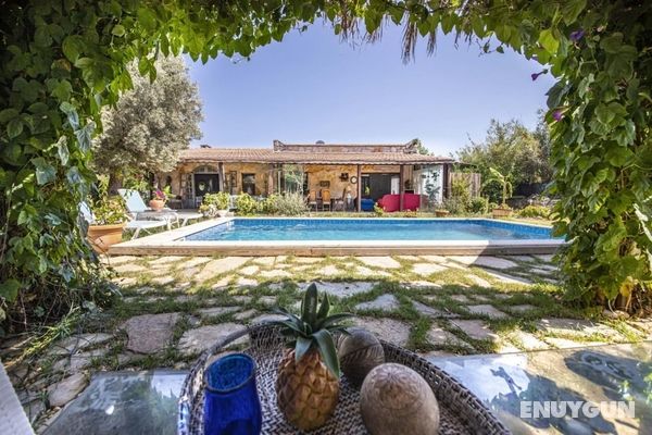 Astonishing Villa With Private Pool and Garden in Bodrum Öne Çıkan Resim