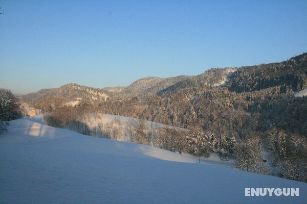 Au Coeur du Lapidaire Genel