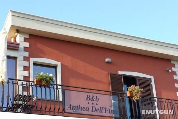 B&B Anthea dell'Etna Dış Mekan