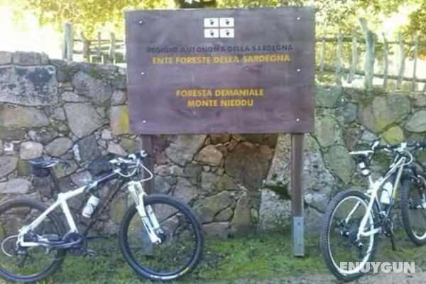 B&B Il Vigneto Genel