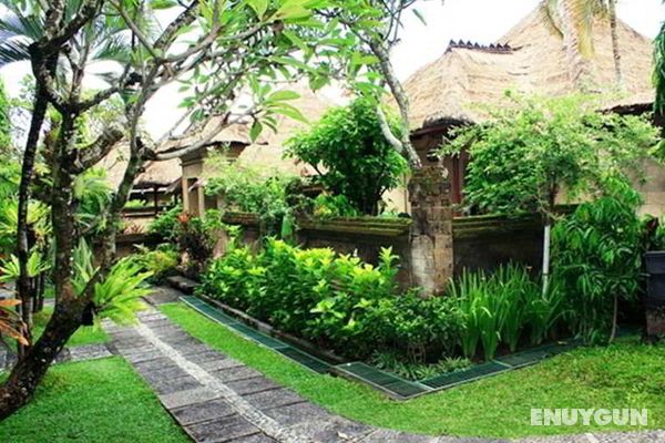 Bali Agung Village Genel