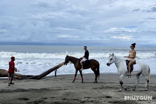 Bali Beach Glamping Genel