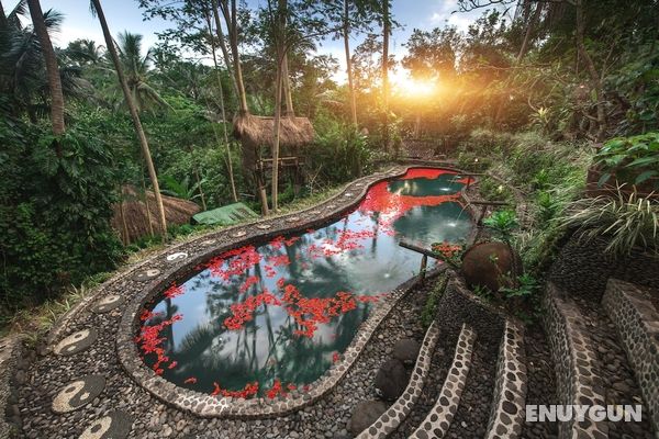 Bali Dacha Öne Çıkan Resim