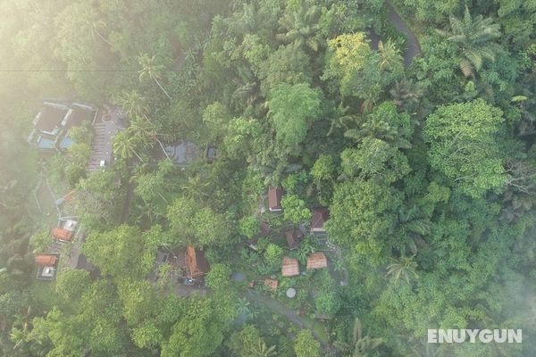 Bali Jungle Huts Öne Çıkan Resim