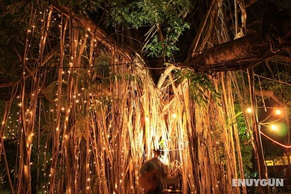 Banyan Tree Resort Öne Çıkan Resim