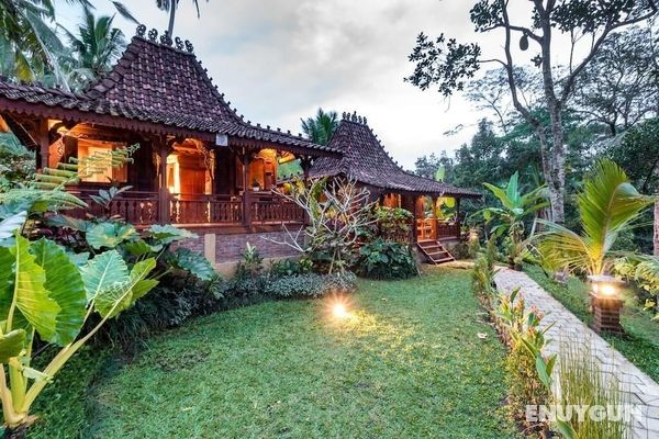 Be Bali Hut Farm Stay Öne Çıkan Resim