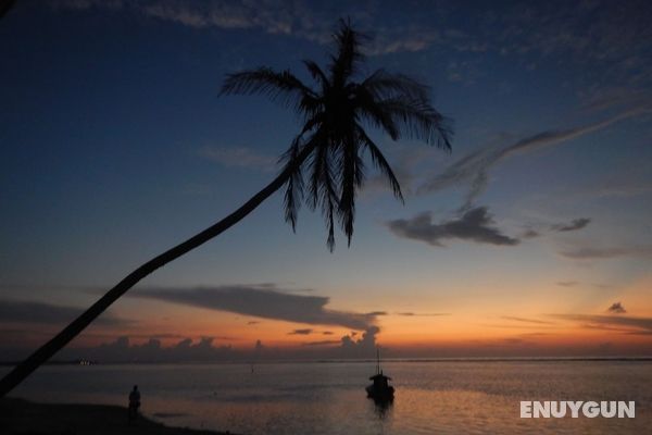 Beach Heaven Maldives - Ocean Vibes Guesthouse Genel