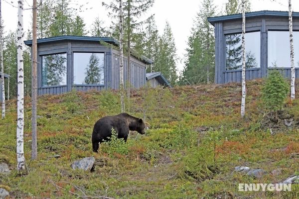 Bear Centre Öne Çıkan Resim