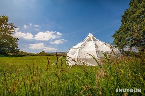Beautiful 1-bed Star Gazing Bell Tent Loughborough Öne Çıkan Resim