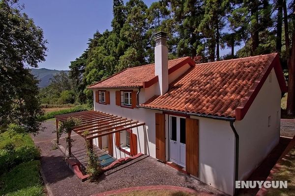 Beautiful Cottage in Santo António da Serra With Pool Öne Çıkan Resim