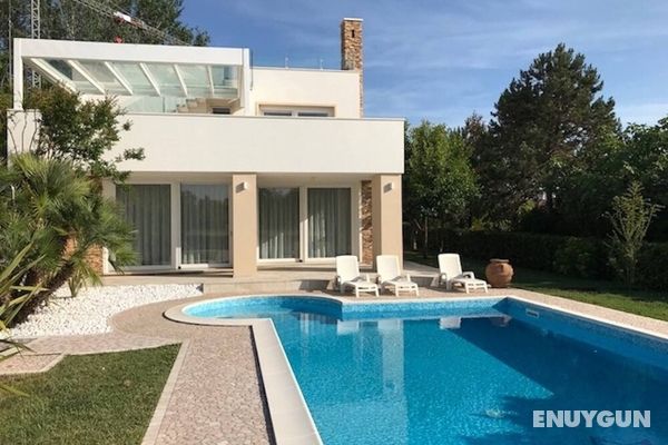 Beautiful Modern Villa In Isola Albarella Öne Çıkan Resim