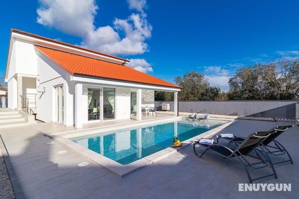 Beautiful Villa With Swimming-pool in Pula Croatia Öne Çıkan Resim