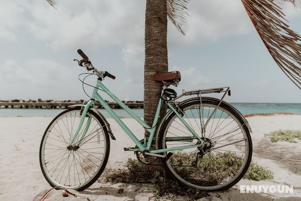 Bed & Bike Curacao Hostel Genel