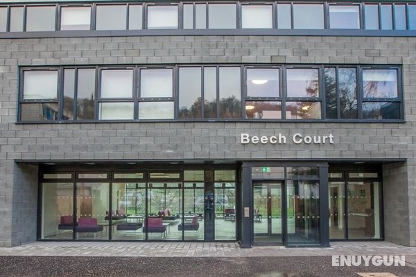 Beech Court Öne Çıkan Resim