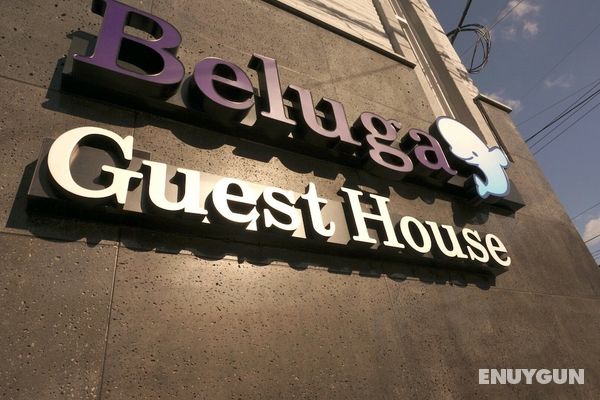 Beluga Guest House - Hostel Öne Çıkan Resim