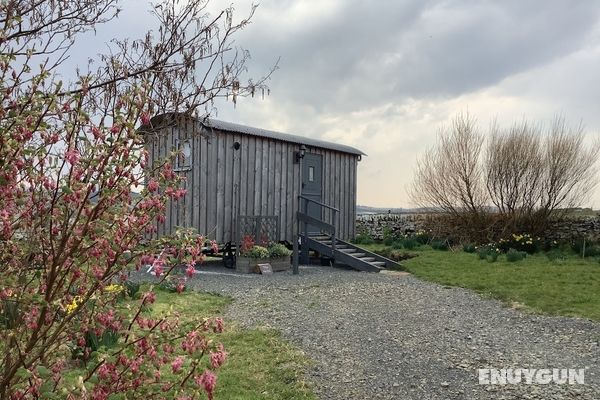 Bespoke Hand Built Shepherds Hut in Dunbeath Öne Çıkan Resim