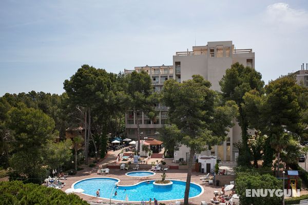 Hotel Best Mediterraneo Genel
