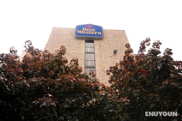 Best Western Executive Hotel Of New Haven-West Genel