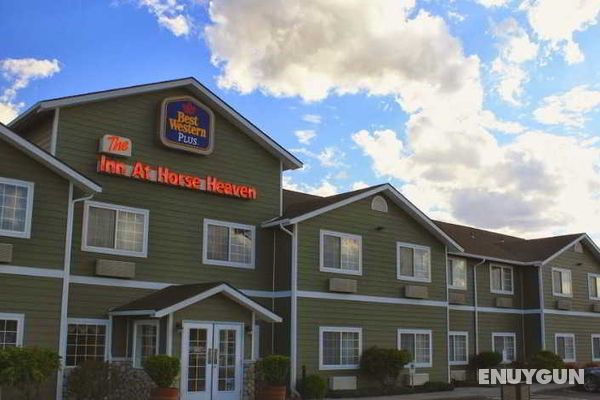 Best Western The Inn At Horse Heaven Genel