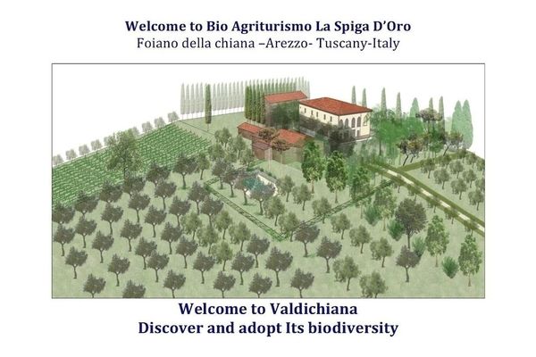Bio Agriturismo La Spiga D'oro Öne Çıkan Resim