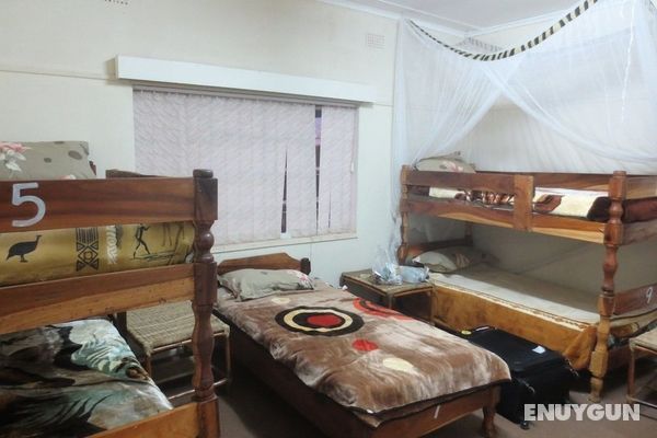 Birdnest Backpackers - Hostel Öne Çıkan Resim