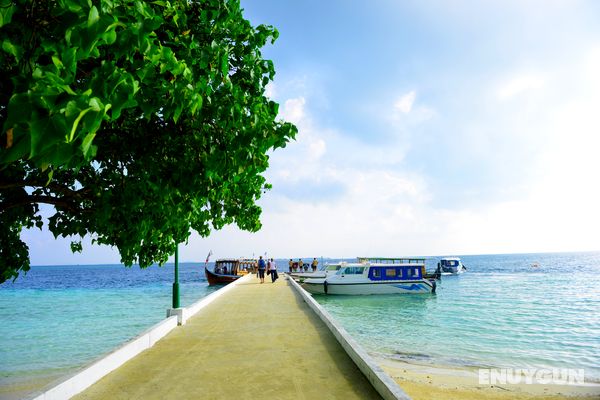 Biyadhoo Island Resort Genel