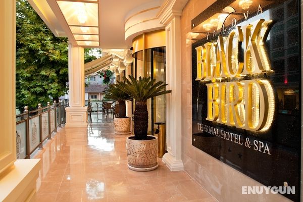 Black Bird Thermal Hotel Genel