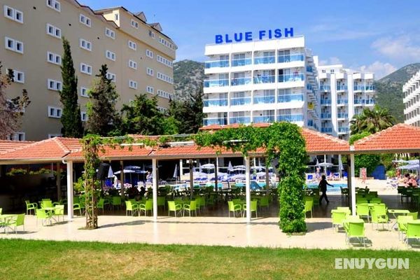 Blue Fish Hotel Genel