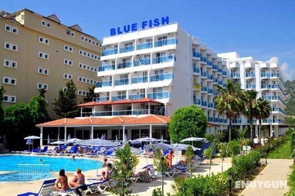 Blue Fish Hotel Genel