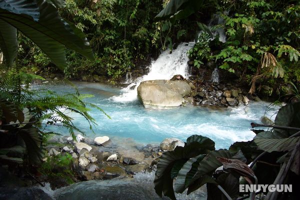 Blue River Resort & Hot Springs Genel