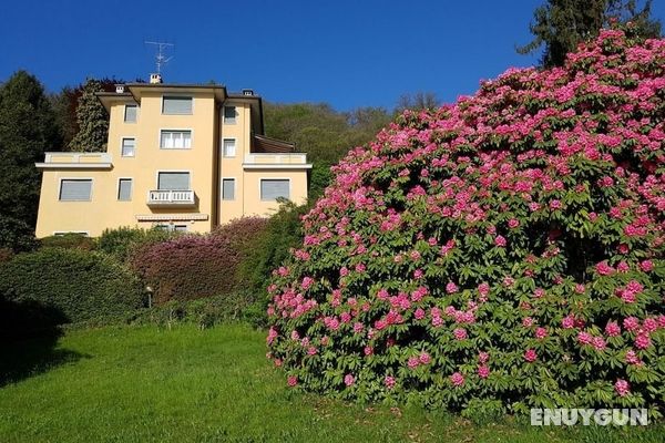 BMP Apartment Camelia Öne Çıkan Resim