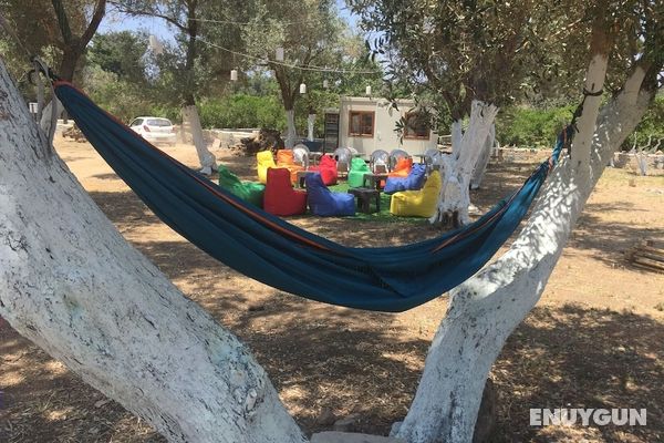 Bodrum Masali Camping Öne Çıkan Resim