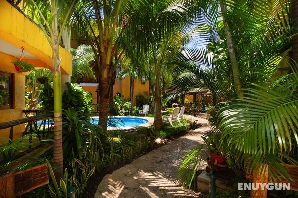 Hotel Bosque Caribe , 5th Av Zone Öne Çıkan Resim
