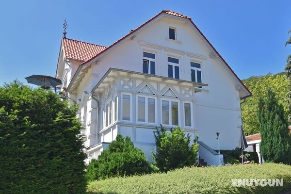 Bright Ground Floor Apartment in Blankenburg in the Harz Mountains With Wood Stove and Library Öne Çıkan Resim