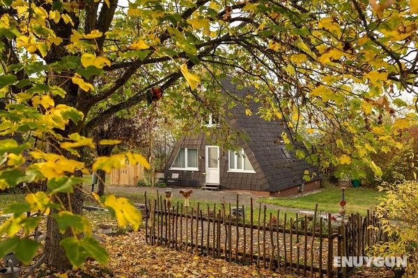 Bright Holiday Home in Bestwig With Garden Öne Çıkan Resim