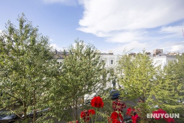 Brunswick Gardens - Cosy Apartment in a Cherry Tree Lined Street- Notting Hill Dış Mekan