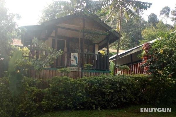 Bwindi View Lodge & Camp Site Öne Çıkan Resim
