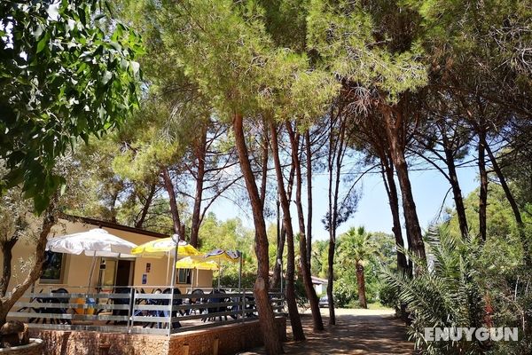 Camping Fico d'India Genel