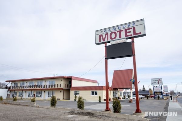 Camrose Motel Öne Çıkan Resim