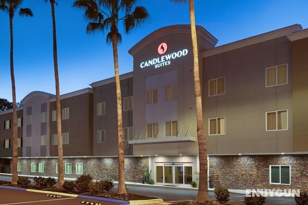 Candlewood Suites Safety Harbor - Clearwater NE, an IHG Hotel Öne Çıkan Resim