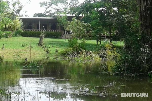 Caño Negro Wetlands Lodge Genel