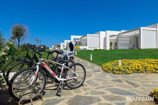 Capo Falcone Charming Apartments Genel