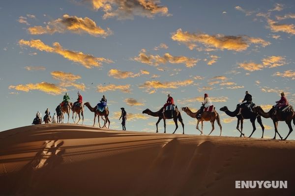 Caravanserai Luxury Desert Camps Öne Çıkan Resim