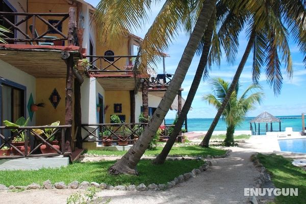 Casa Caribe Cancún Genel