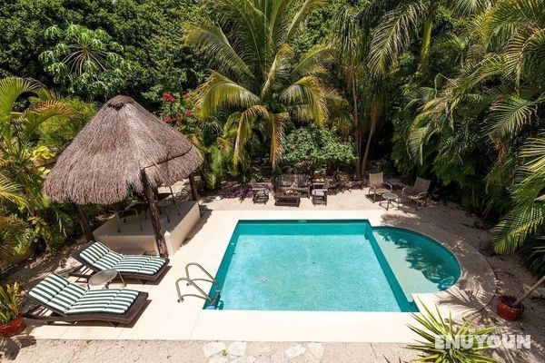Casa Royal Palms by Playa Paradise Öne Çıkan Resim