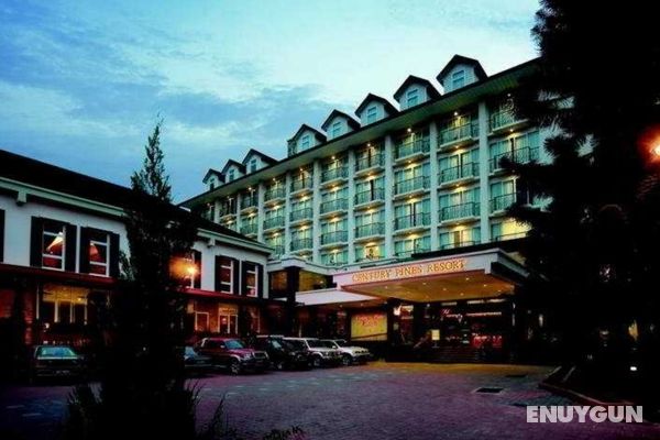 Century Pines Resort Hotel, Cameron Highlands Genel