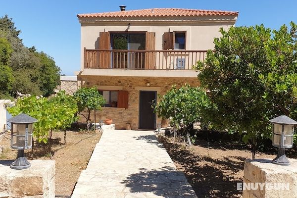 Chaihoutes stone villa into Olive farm in Zia Öne Çıkan Resim