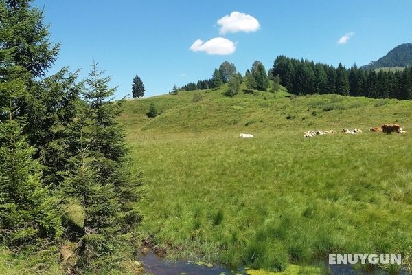 Chalets Zöhrer - Wohnen am Wasser Genel