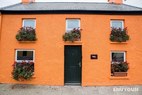 Charming 2-bed House in West Cork Cupid's Cottage Öne Çıkan Resim