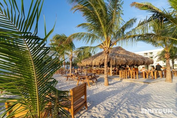 Chogogo Dive & Beach Resort Bonaire Genel